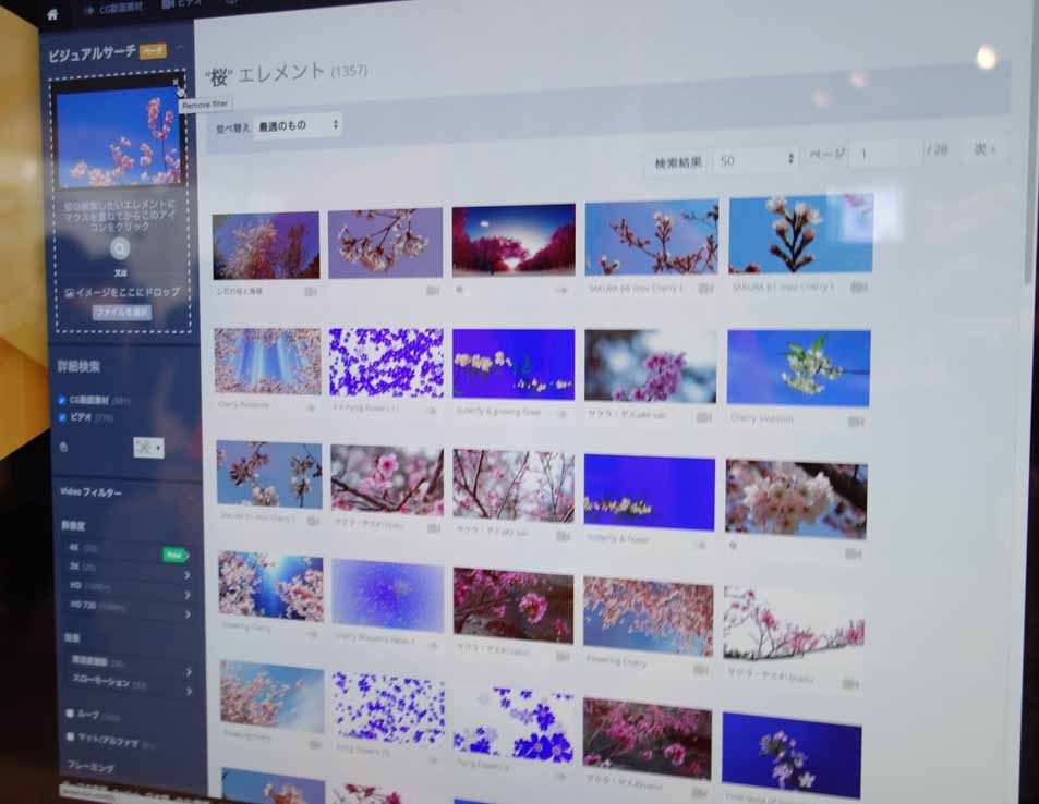 “Visual Search” demonstration. Searching for an image featuring “Sakura with blue sky” instantly returned videos contain